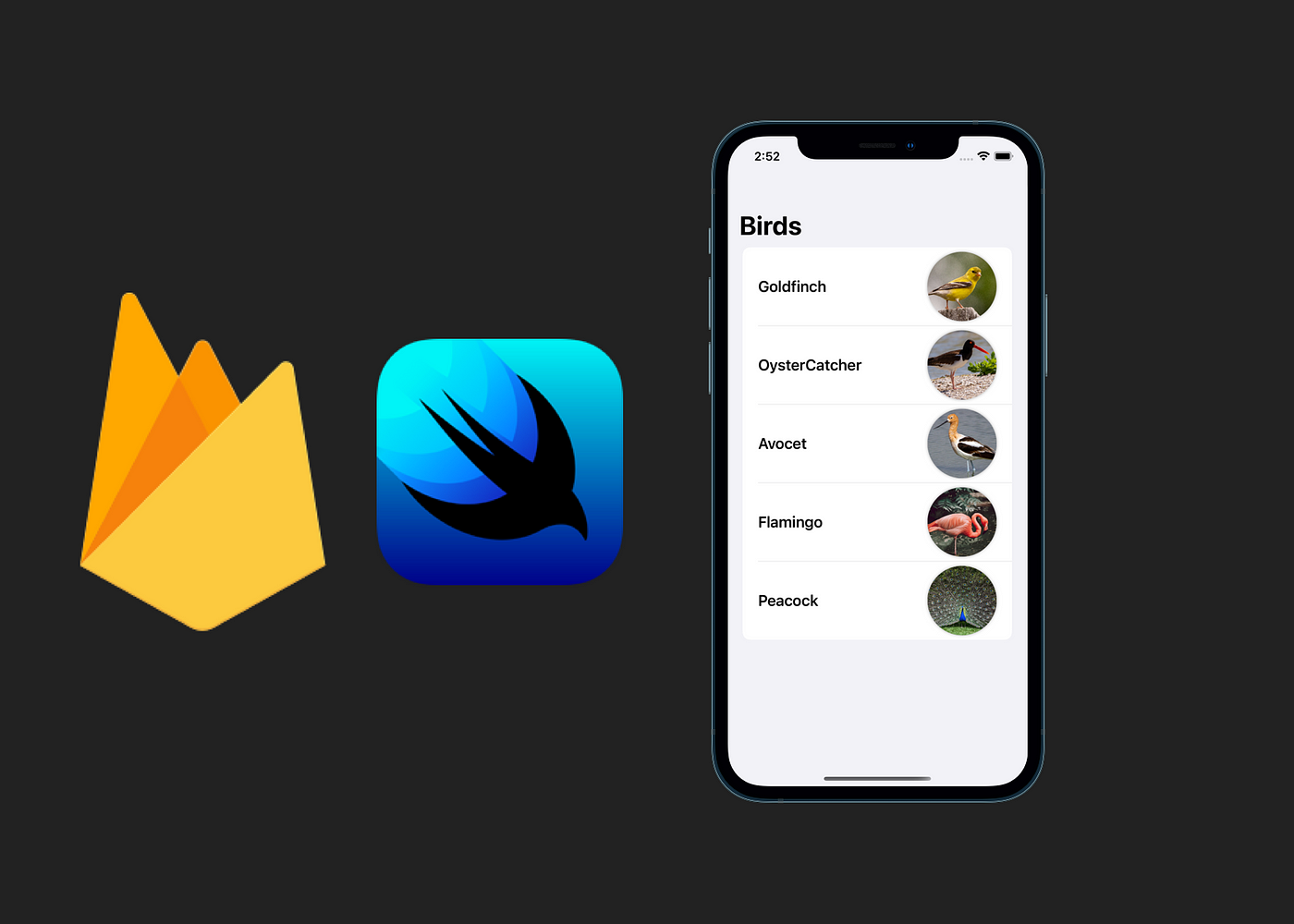 Firebase and SwiftUI logo with an iPhone displaying a list of birds.