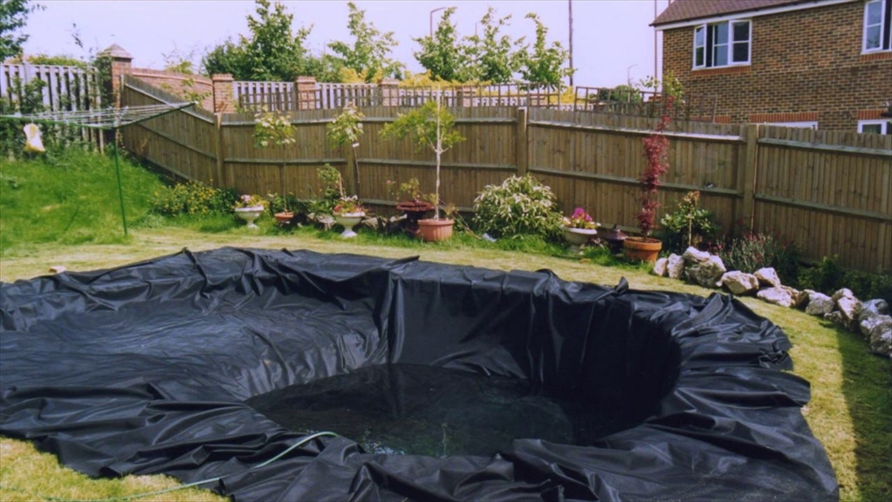 Featured image of post Backyard Fish Pond Liner