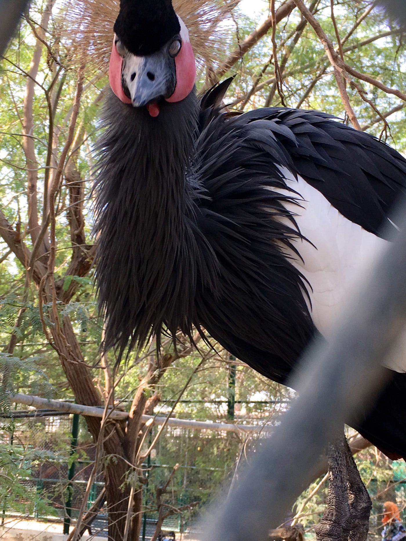 Arabian Los Angeles. And by that I mean Dubai. What makes… by Yulia