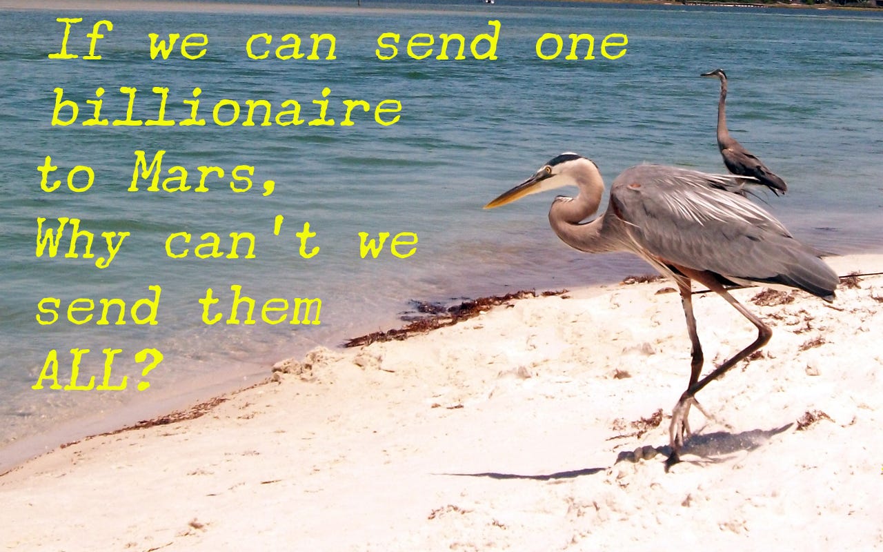 Great Blue Herons Gossiping On a Beach