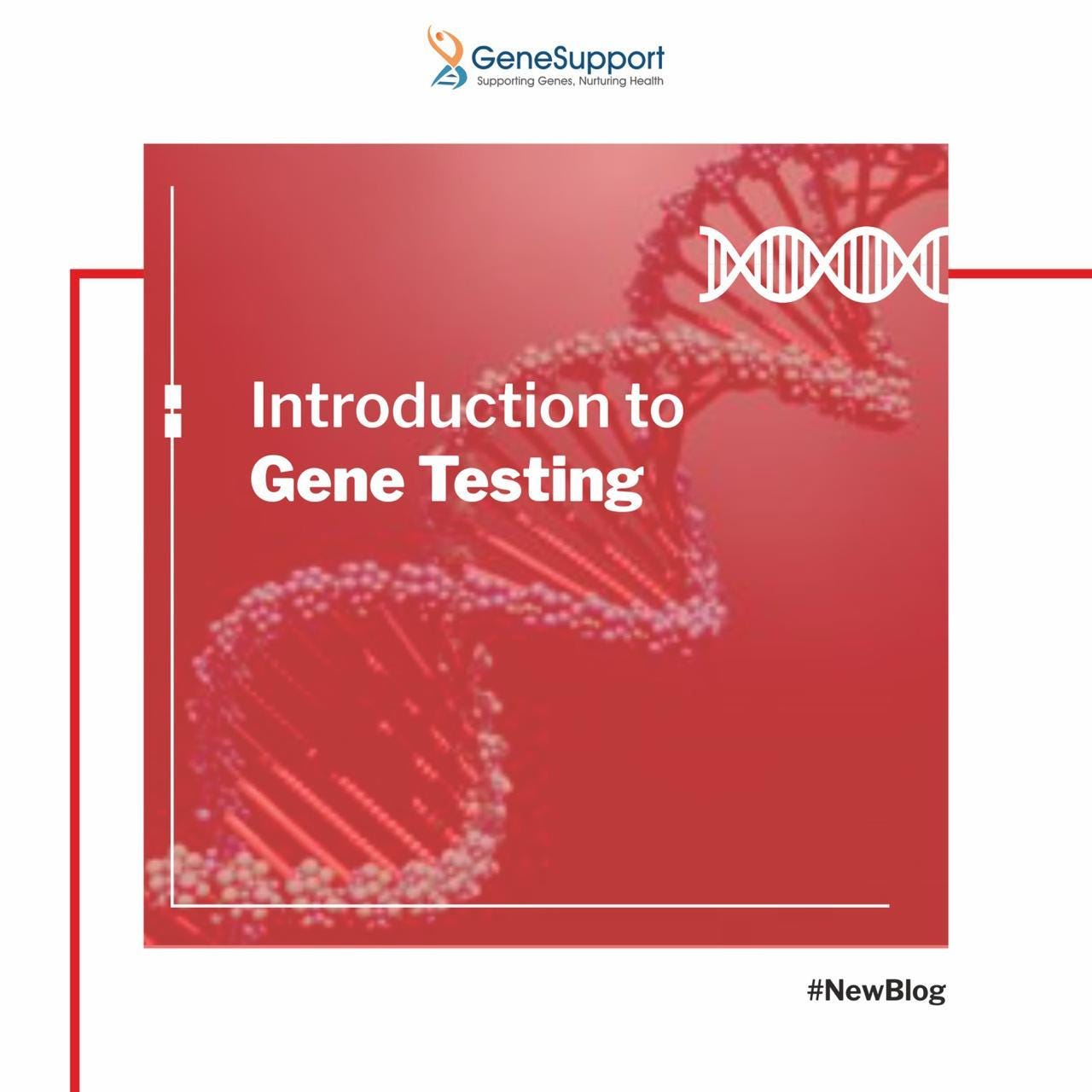 Gene Testing — What, Why, Where, and How? by GeneSupport Medium