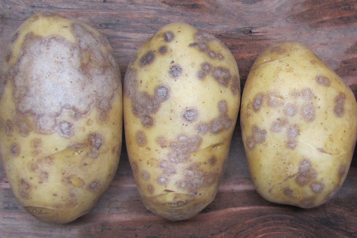Spudsmart