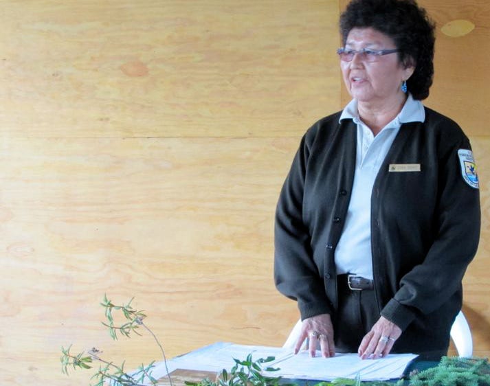 woman standing at table with papers and plants