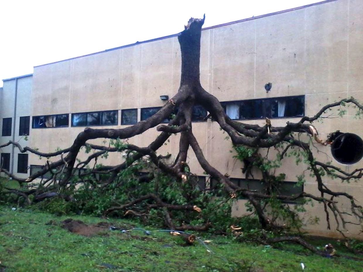 st. barnabas umc tree damage