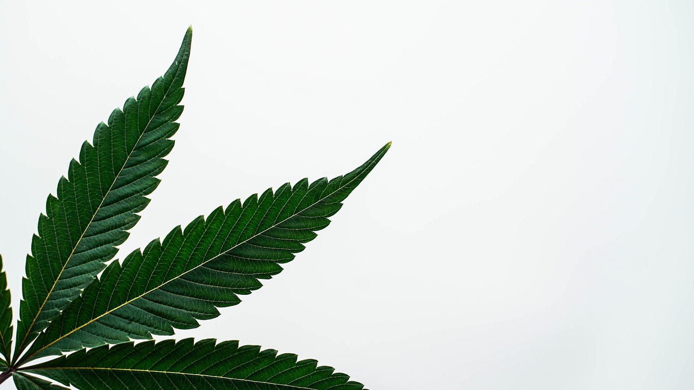 Outline of cannabis leaf