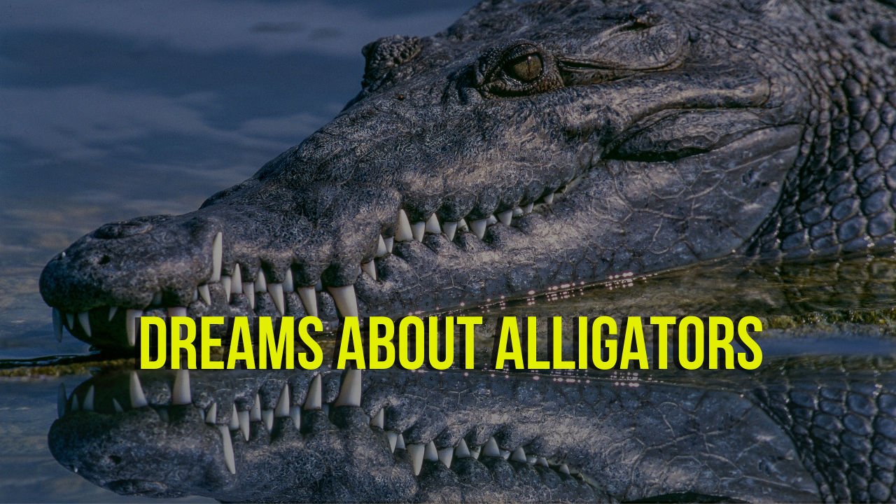Dreams About Alligators. Have you ever remembered a dream so… | by