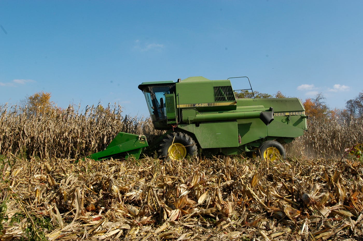 Image of corn being harvested in Maryland. Image by Edwin Remsberg