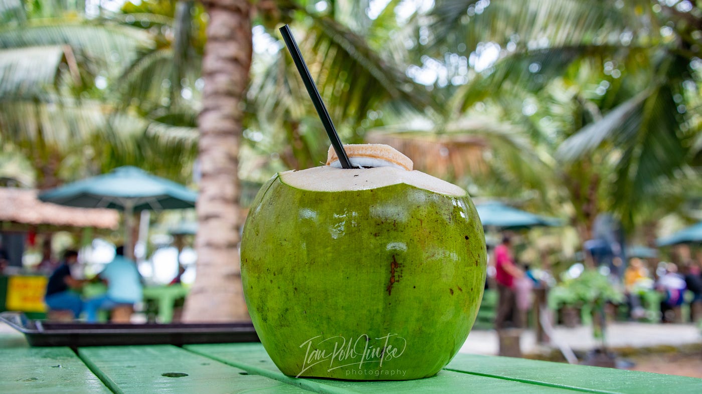 Sekinchan Coconut Farm By Monk3yseendo Foodie Monkey MONK3YSEENDO