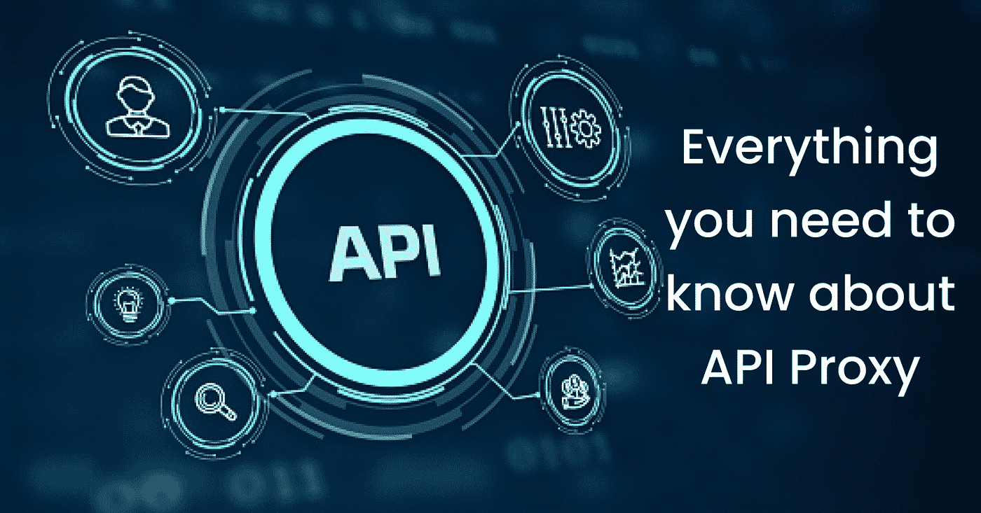 Everything You Need To Know About Api Proxy 