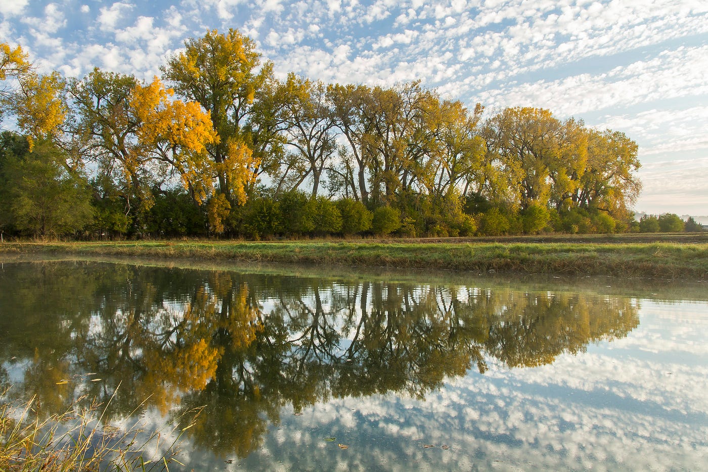 We Supply The Fish You Supply The Pumpkin Spice Experience Fall At A National Fish Hatchery By U S Fish And Wildlife Service Medium