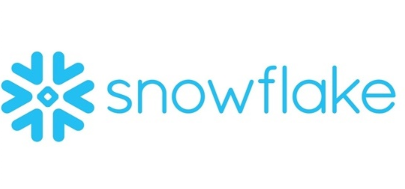 Snowflake — the company everyone should be talking about + its