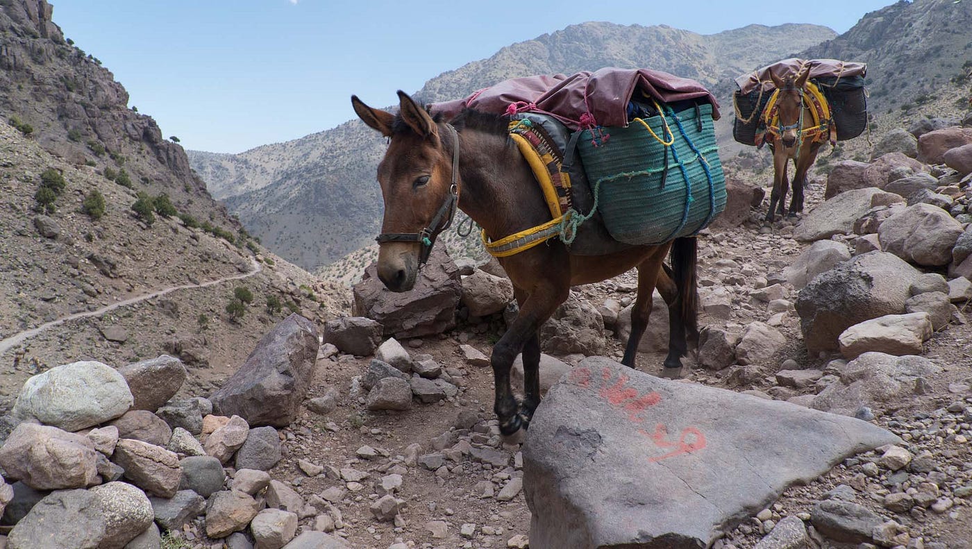 Money Mules. A money mule is an individual who moves… by Todd A