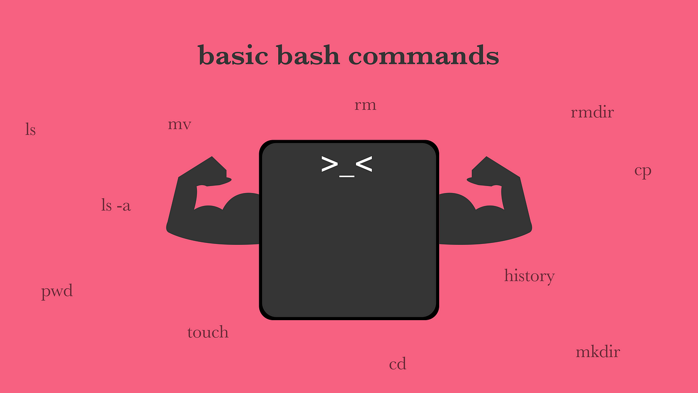 Basic Bash Commands Learn To Navigate With The Terminal By Lorenz Frank Geek Culture Medium