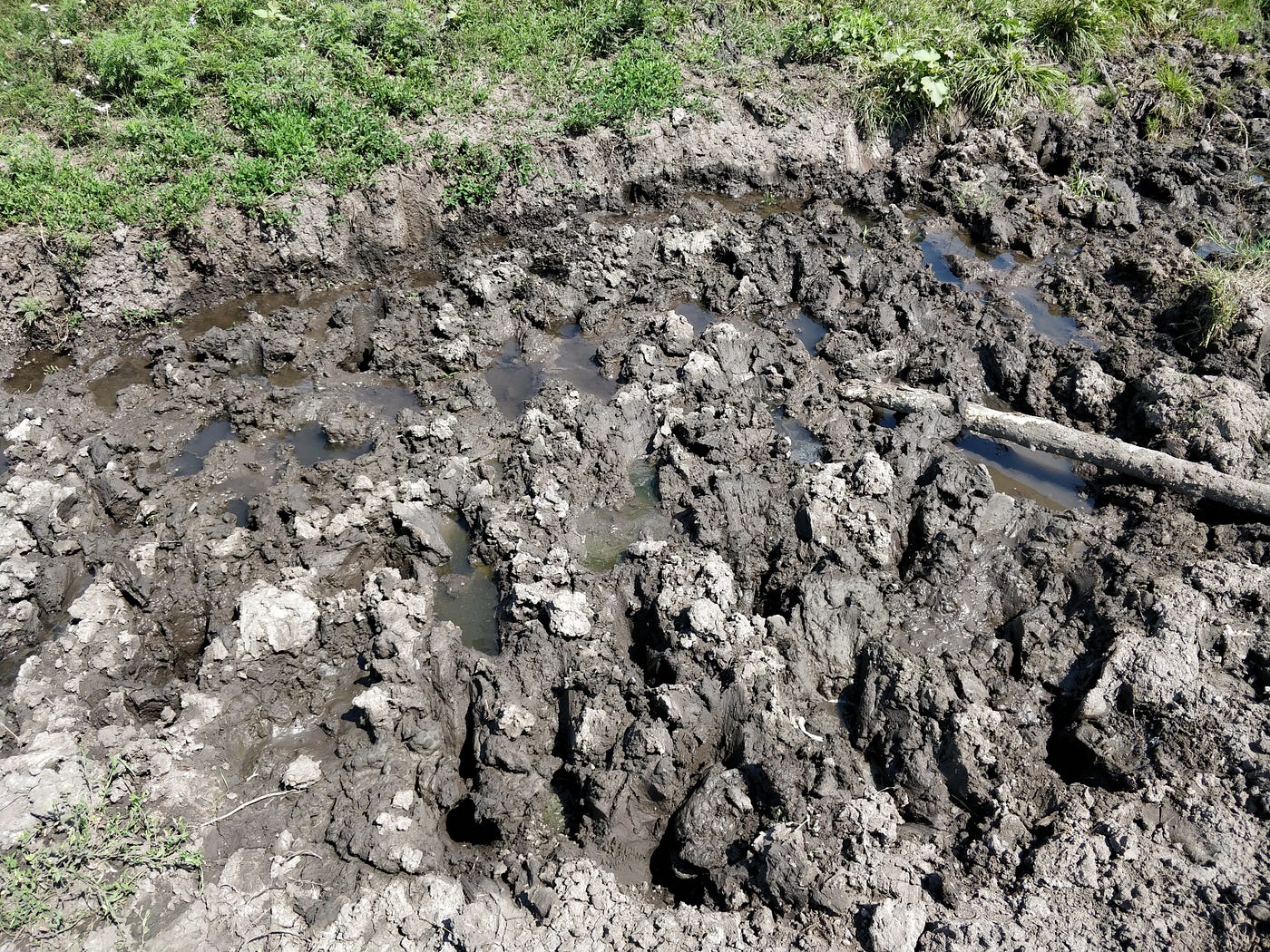 Black earth in Ukraine