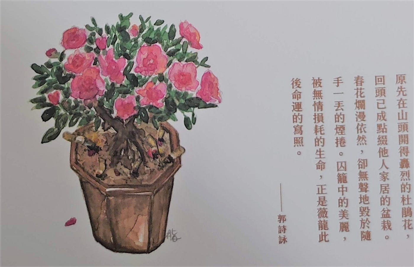 raw-image