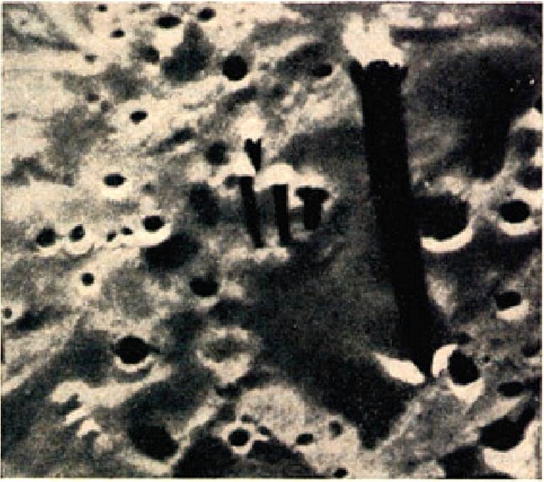 The abaka alignment: a grouping of alleged pillars or structures on the moon shown in a grainy photograph