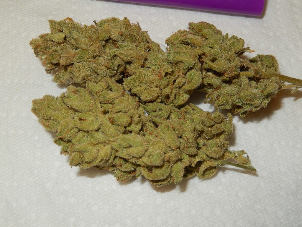 Blueberry Diesel and Alien OG Marijuana Strain Information by super