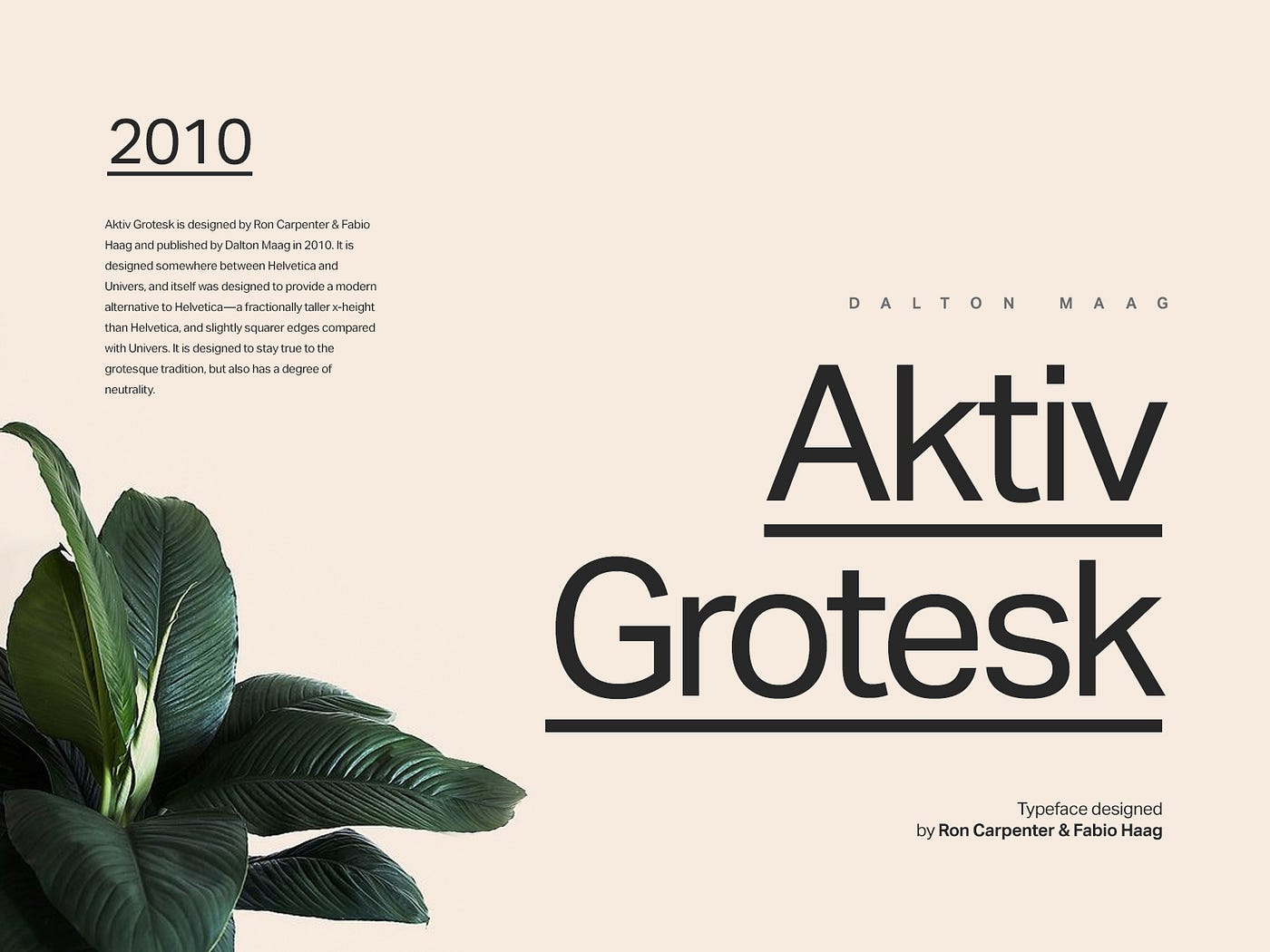 aktiv grotesk font family free download aktiv grotesk font family free download