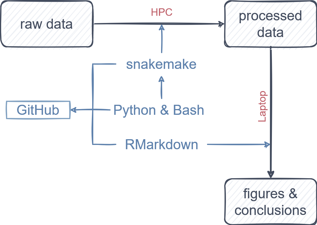 My Workflow for Open and Reproducible Science as an Academic Researcher in  Biomedicine | by Ruben Van Paemel | Towards Data Science