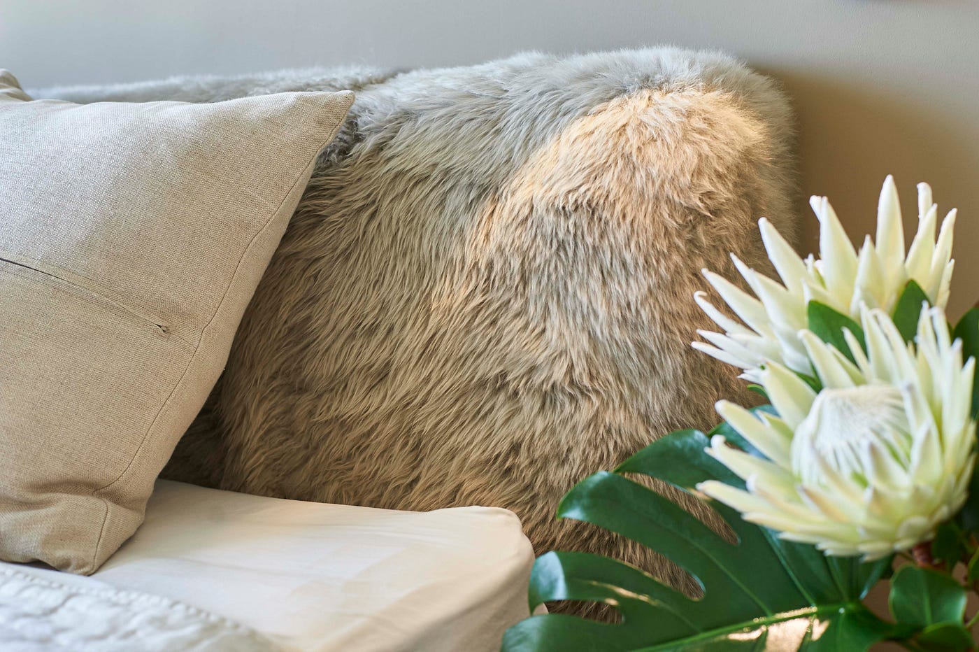 A cozy headboard in a primary bedroom