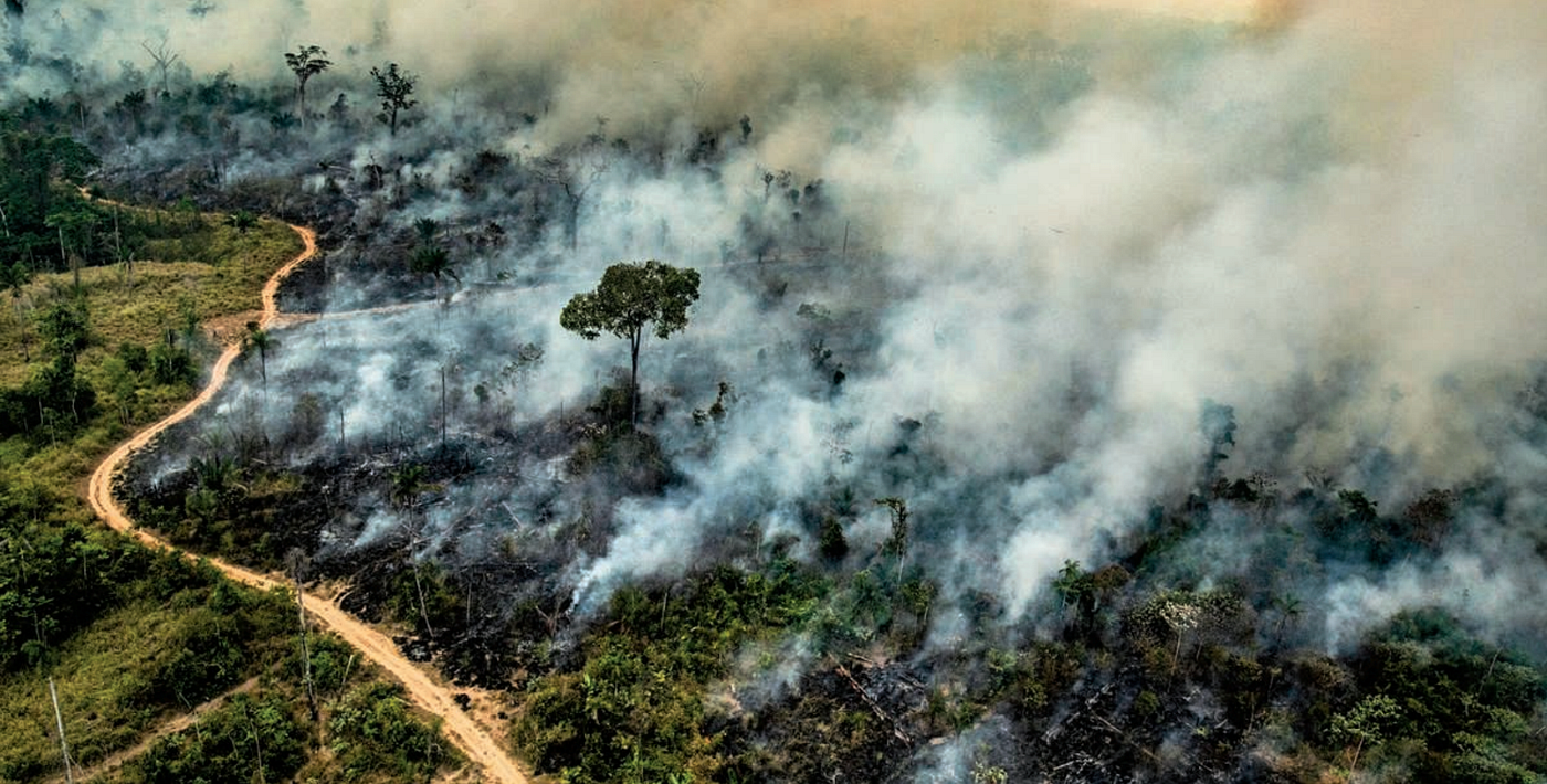 An Analysis of Amazonian Forest Fires | by Matthew Stewart | Towards Data  Science