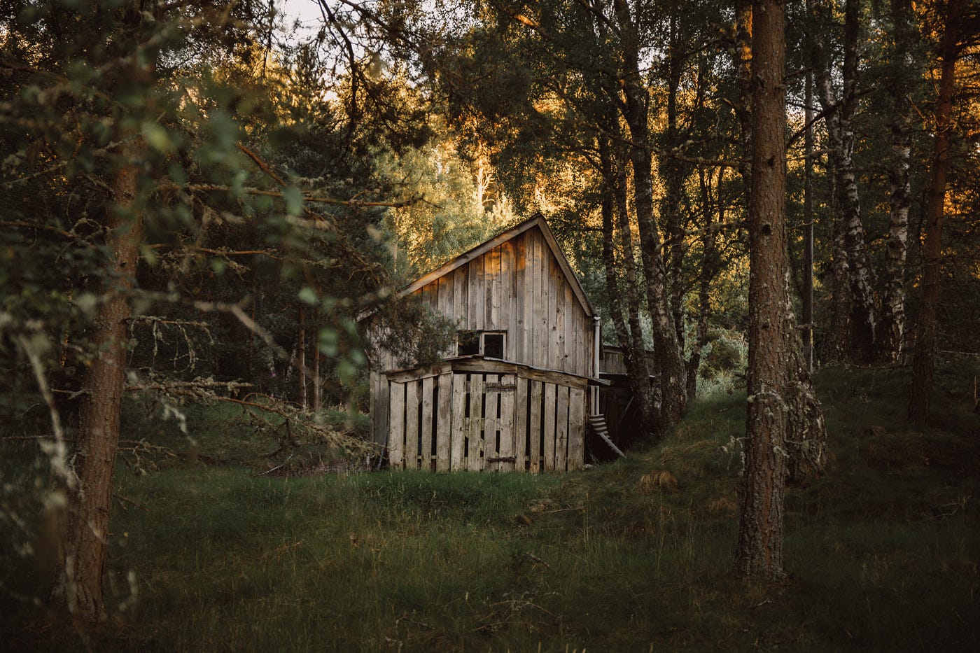 The Book I Didn't Know I Needed to Read | by Samantha Rose | Medium