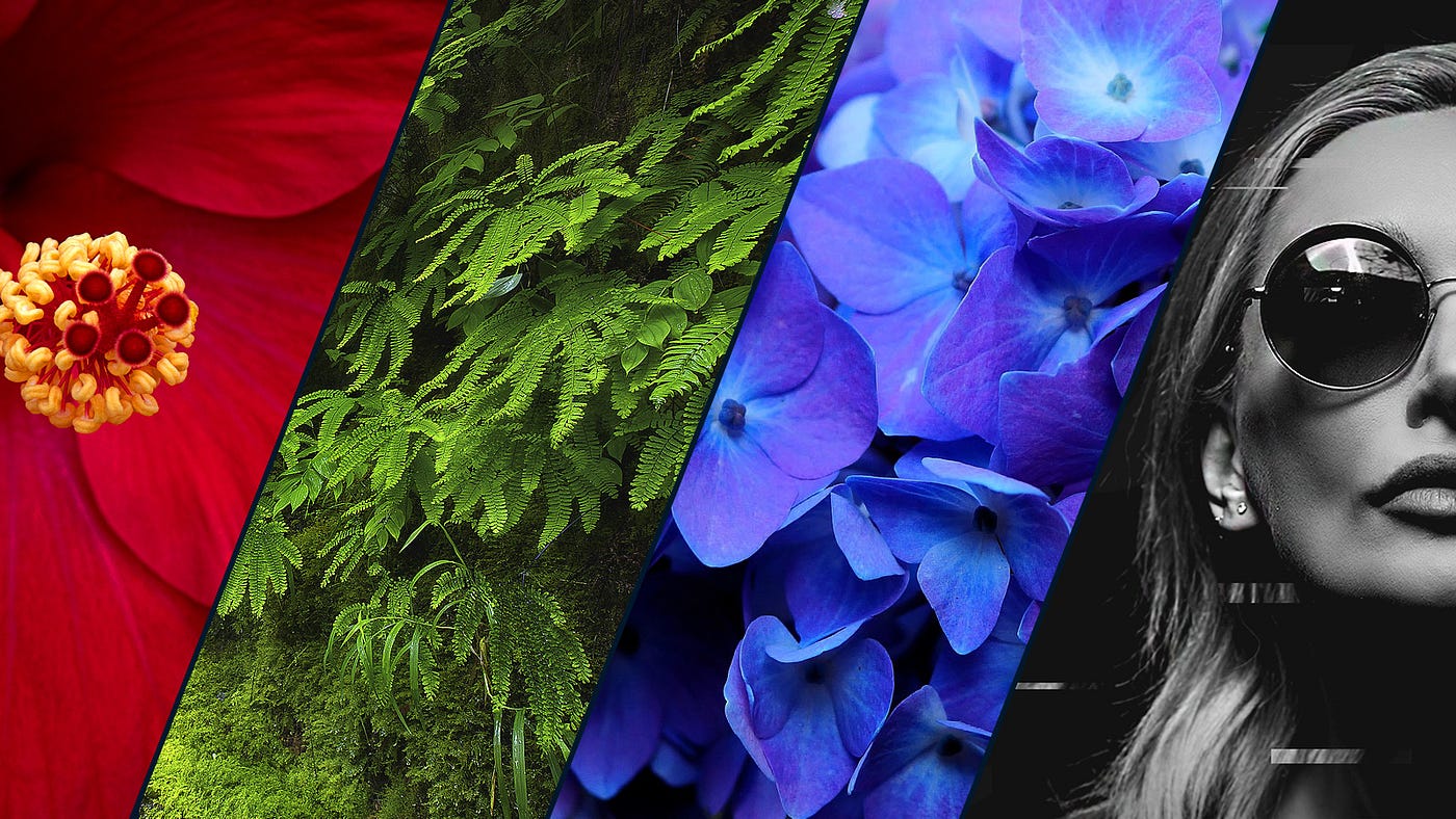 Four examples showing red, green, blue, and gray color palettes — the latter one used in dark UI color palettes.