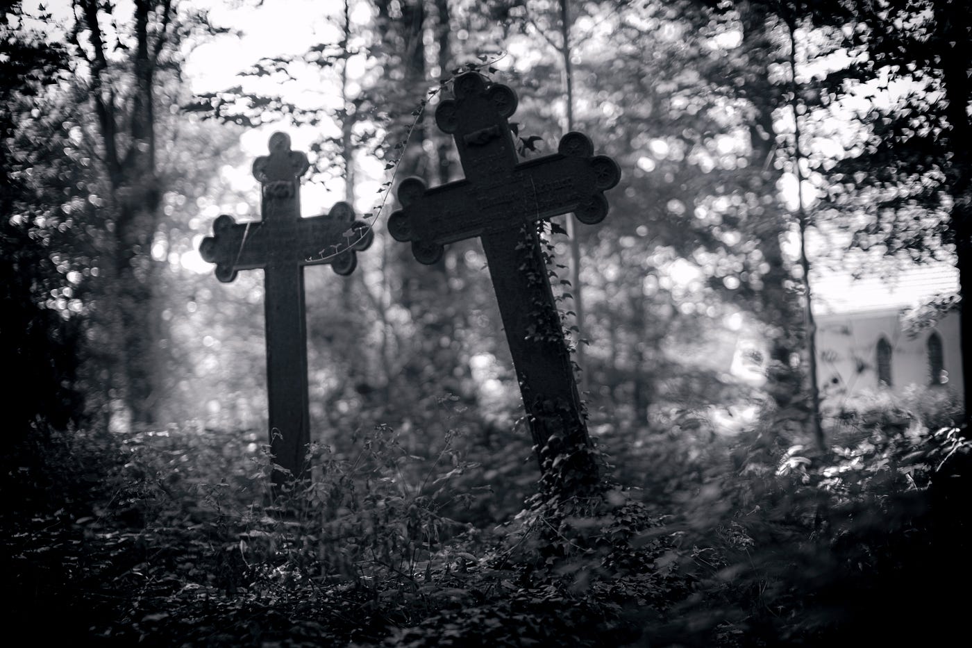 Something I Can Sink My Teeth Into | by Tales | Medium