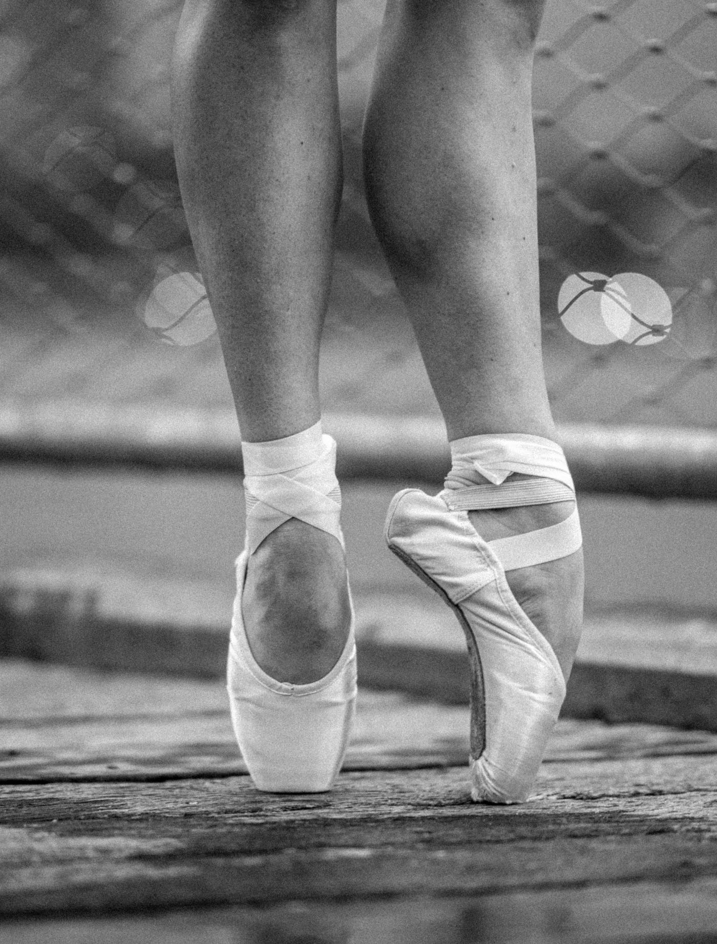 December 16: Today In Dance - Today In Dance - Medium