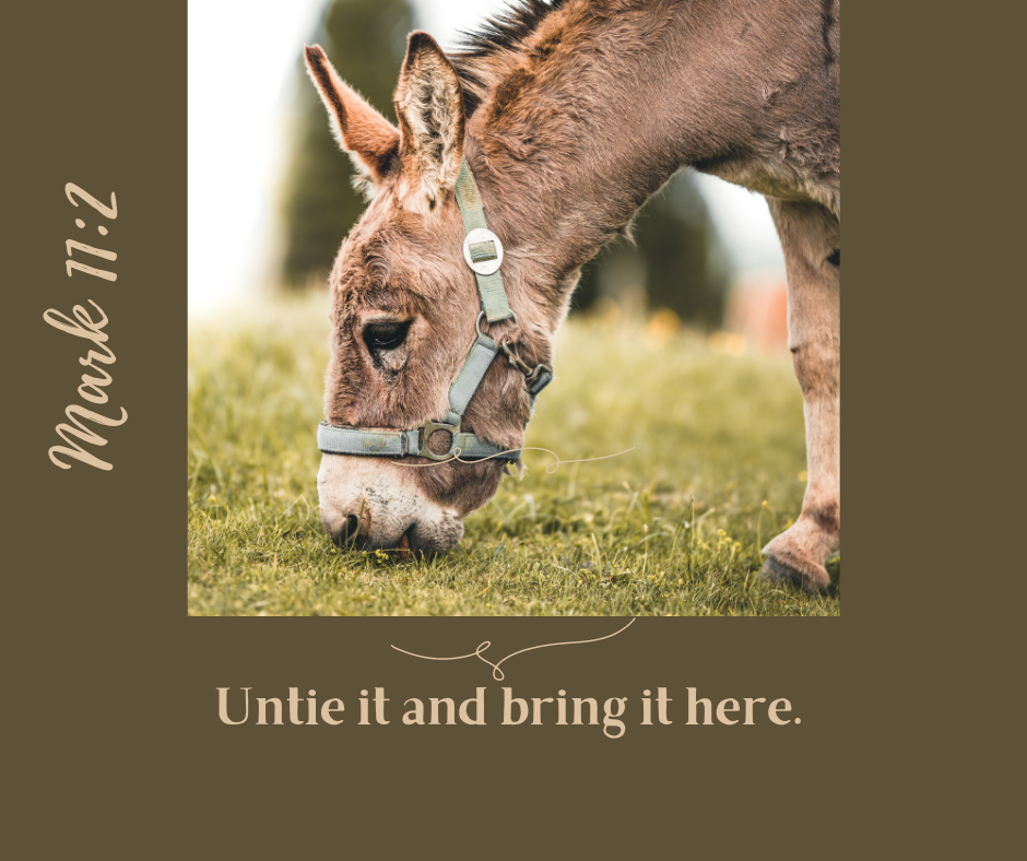 Donkey with Mark 11 2 scripture untie it and bring it here