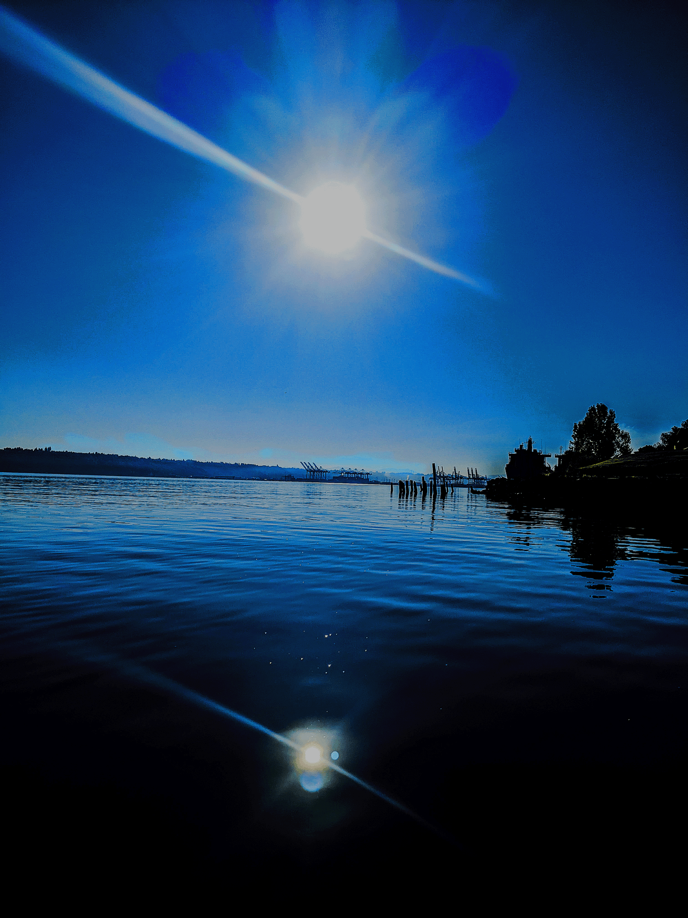 dawn-marie-medium