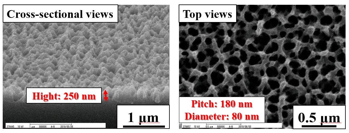 Scanning electron microscopy images of an anti-reflective thin film