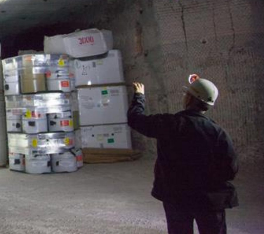 Important kitty litter questions answered by Paul Ford Weird Medium