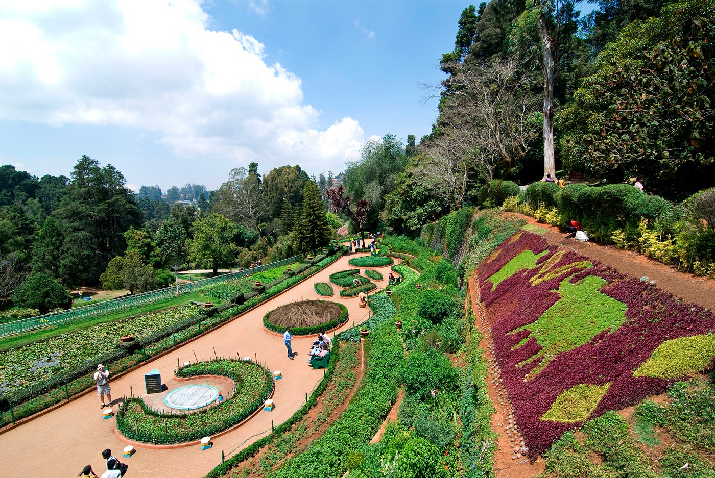 Mesmerizing Flower show at Ooty. An Overview of Ooty Flower Show by