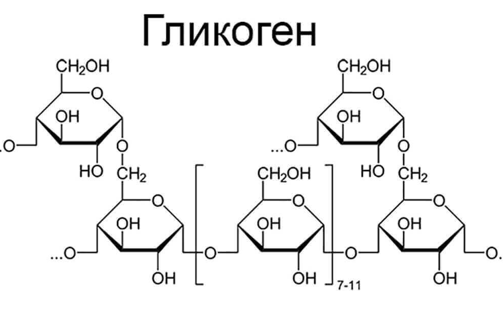 гликоген для чего он нужен. Смотреть фото гликоген для чего он нужен. Смотреть картинку гликоген для чего он нужен. Картинка про гликоген для чего он нужен. Фото гликоген для чего он нужен
