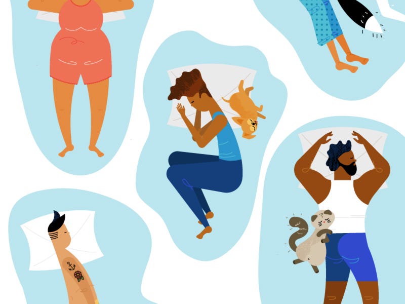 Ruyada Beyaz Kedi Gormek Ne Anlama Gelir By Pati Medium Ruyada Beyaz Kedi Gormek Ne Anlama Gelir By Pati Medium