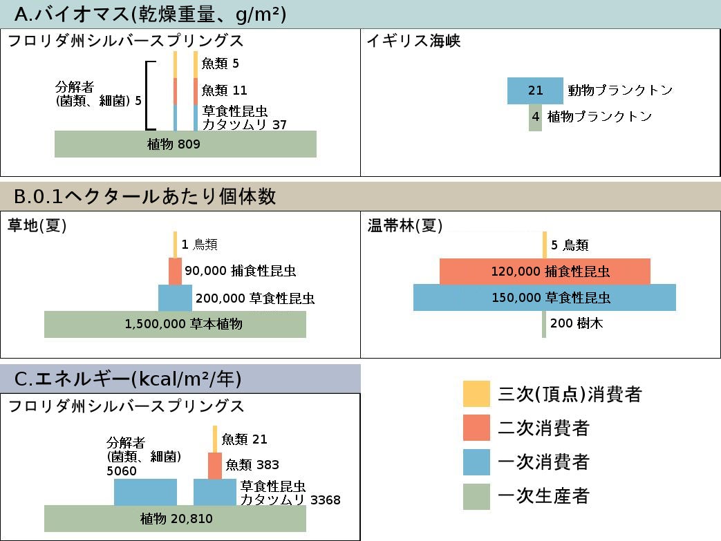 生物学 第2版 第46章 生態系 Japanese Translation Of Biology 2e By Better Late Than Never Medium 生物学 第2版 第46章 生態系 Japanese Translation Of Biology 2e By Better Late Than Never Medium