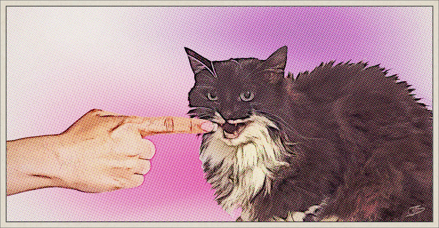Finger playing with pissed off cat