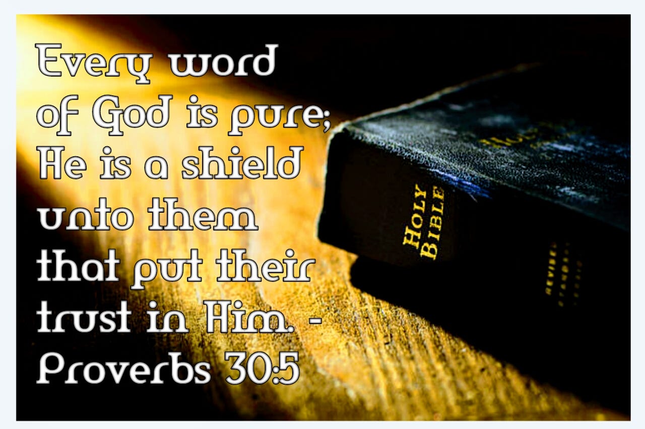 Every Word Of God Is Pure He Is A Shield Unto Them That Put Their Trust In Him Proverbs 30 5 By Keith Mcgivern Medium