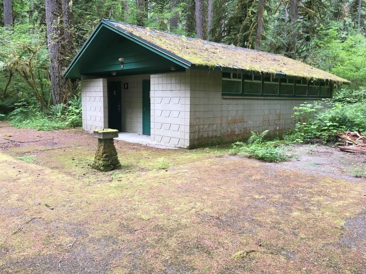 Cinderblock, gabled campground restroom with a forest behind and tree-needle covered pavement in the foreground