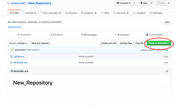 How to Create a Github Repository | by Aviva Mazurek | Medium