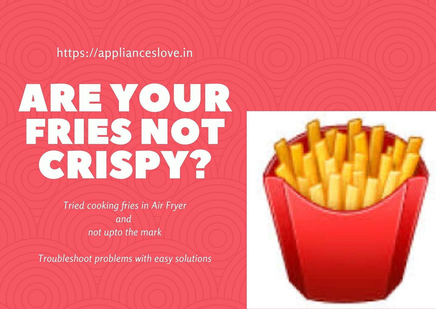 5 Common Mistakes That Your Air Fryer Want You To Know!! by Amitangri