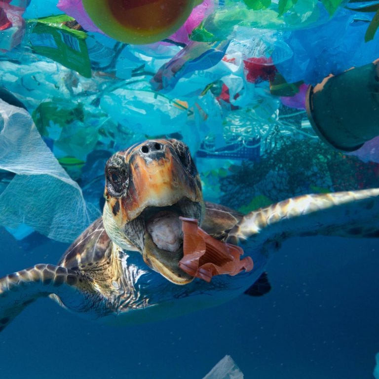 Fighting pollution in oceans