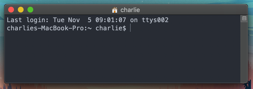 git bash on mac terminal