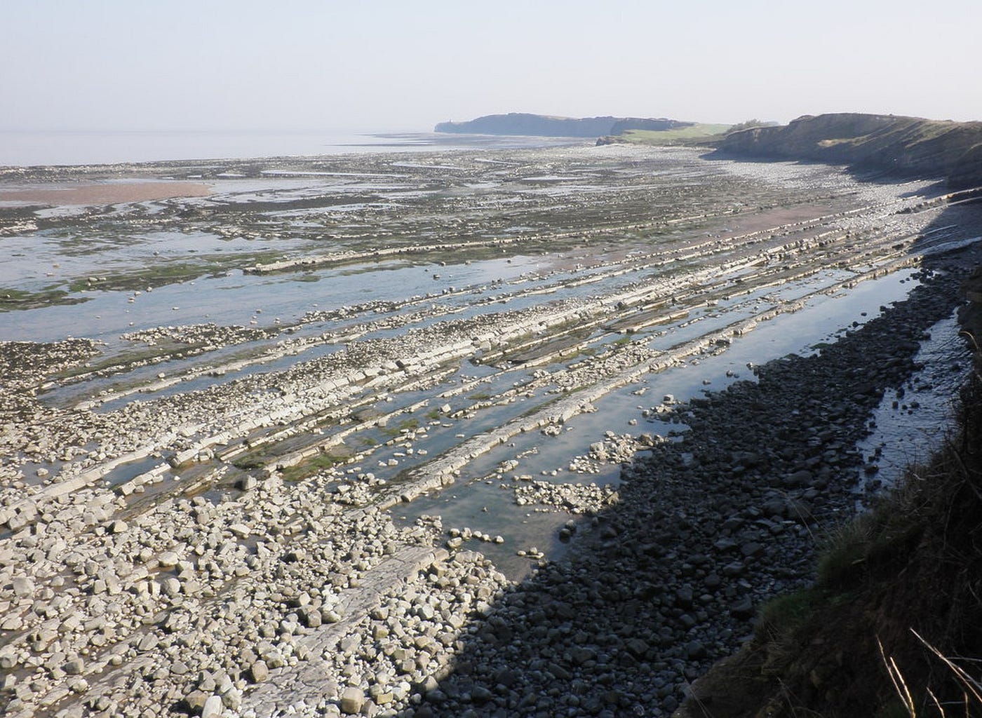 How are wave cut platforms formed? by Akrit Ghimire Mar, 2022 Medium