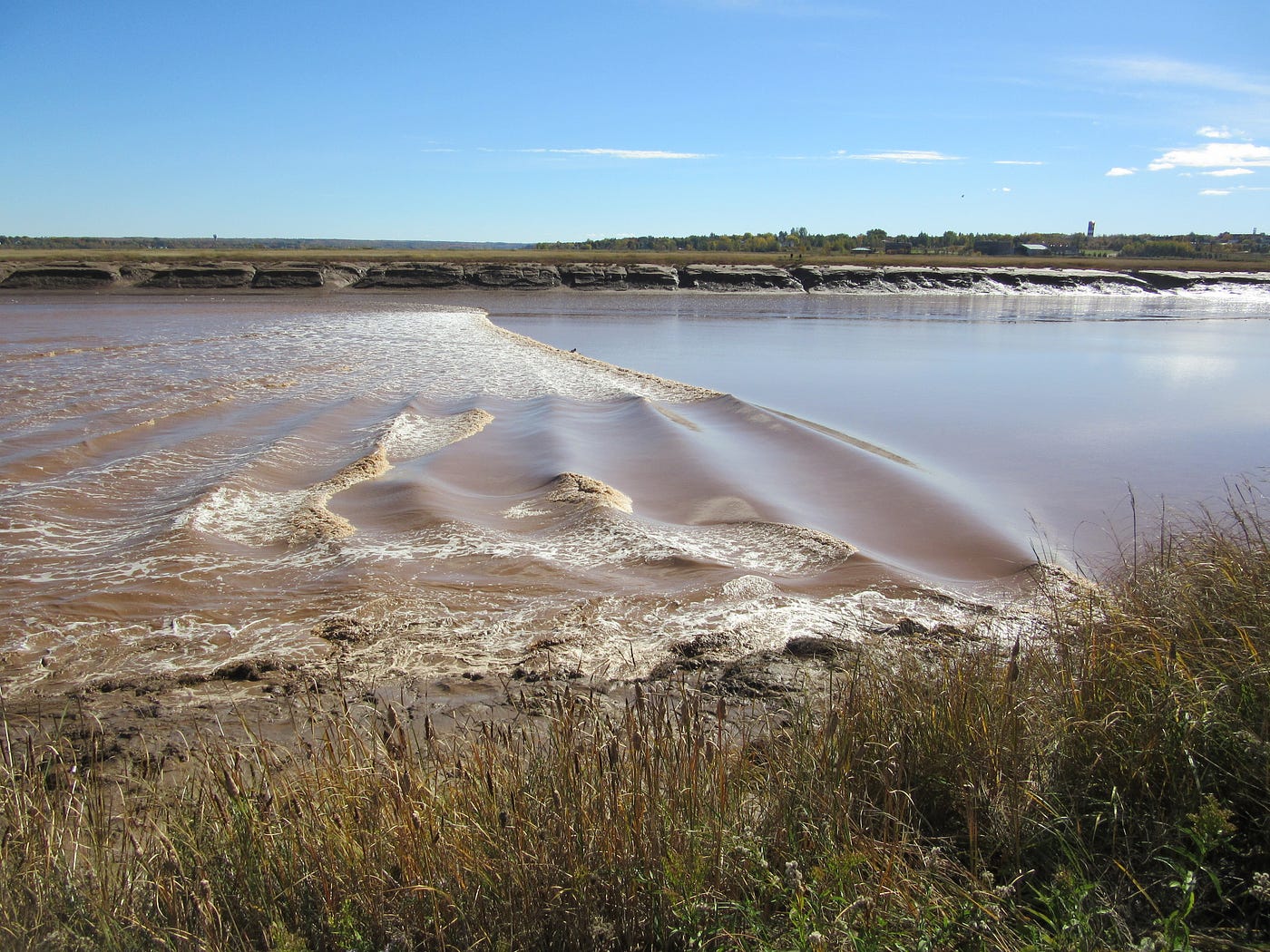The Petitcodiac River and the Tidal Bore by Lynn McEachern Medium