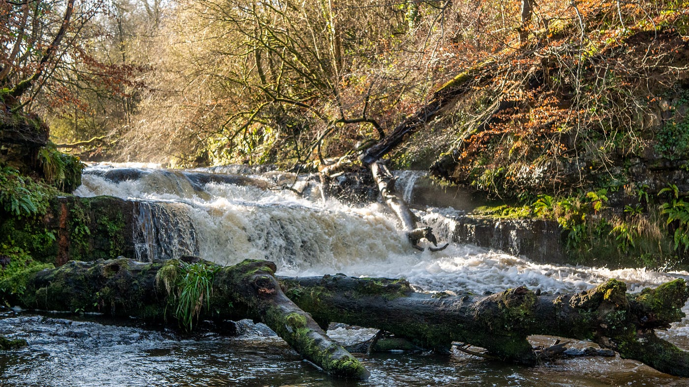 A white water rapid of the Falls of Lynn in North Ayrshire, Scotland in winter