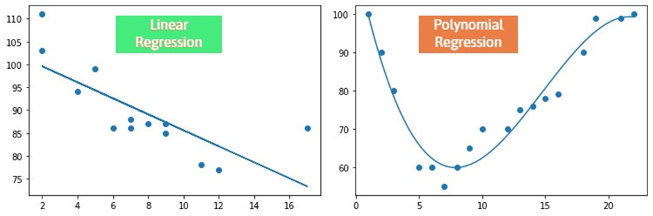 “Everything You Need to Know About: Polynomial Regression” | by Raghava ...
