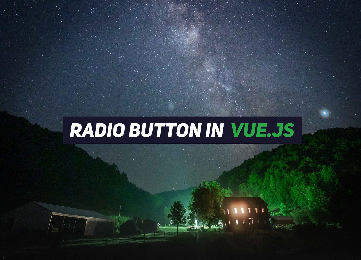 Radio button binding in Vue.js. Learn how to bind a radio button in a