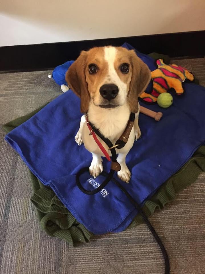 The Power of an Online Presence. Like every industry, the property